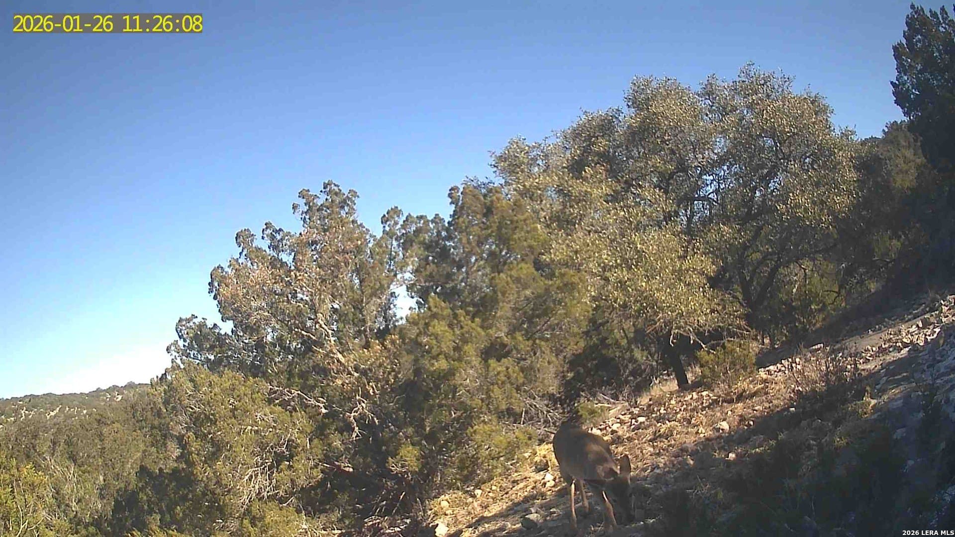 39 acres in Edwards County - photo 38