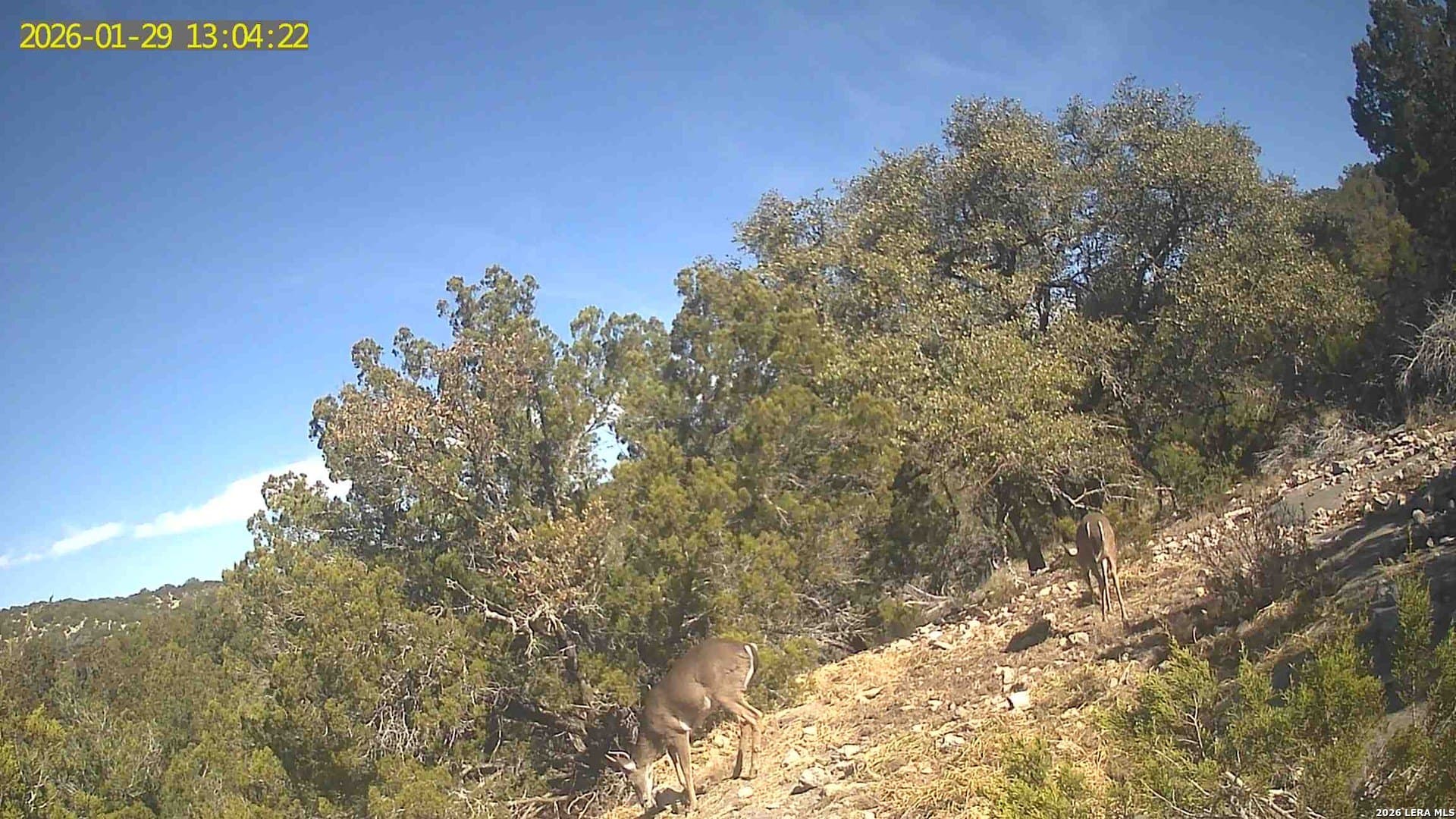 39 acres in Edwards County - photo 42