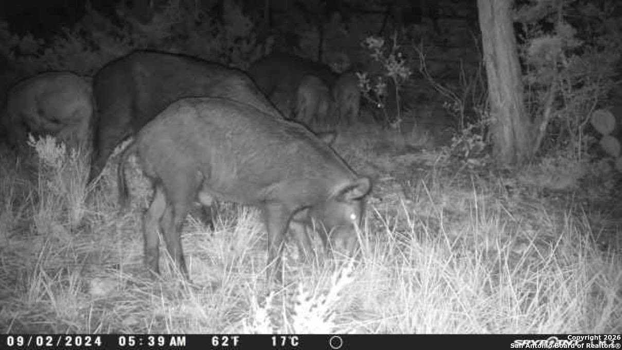 39 acres in Edwards County - photo 2