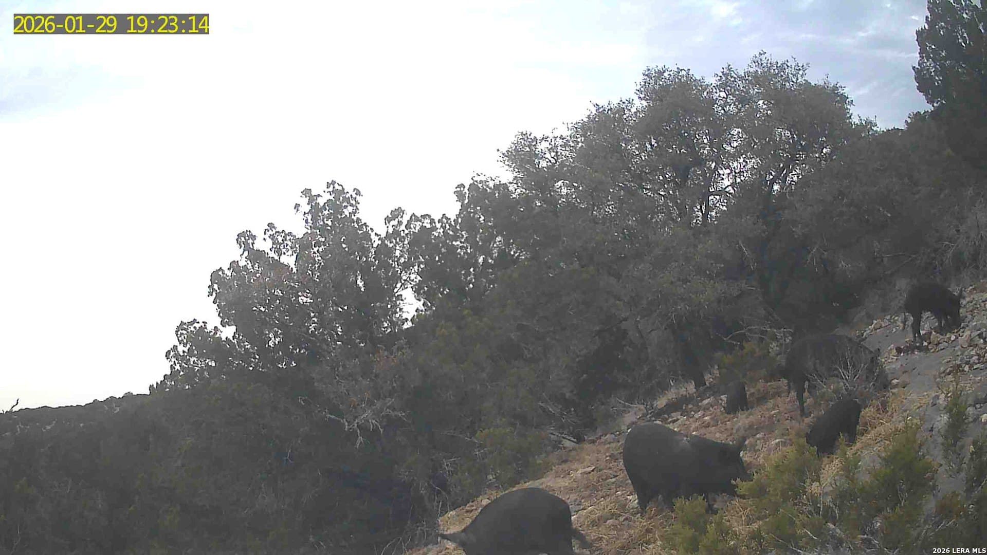 39 acres in Edwards County - photo 44