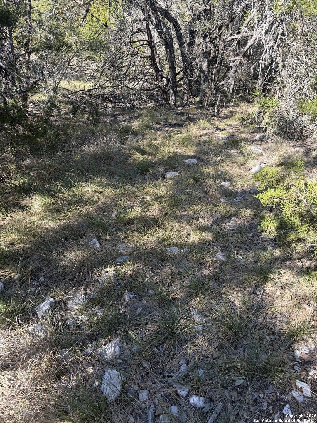 39 acres in Edwards County - photo 25