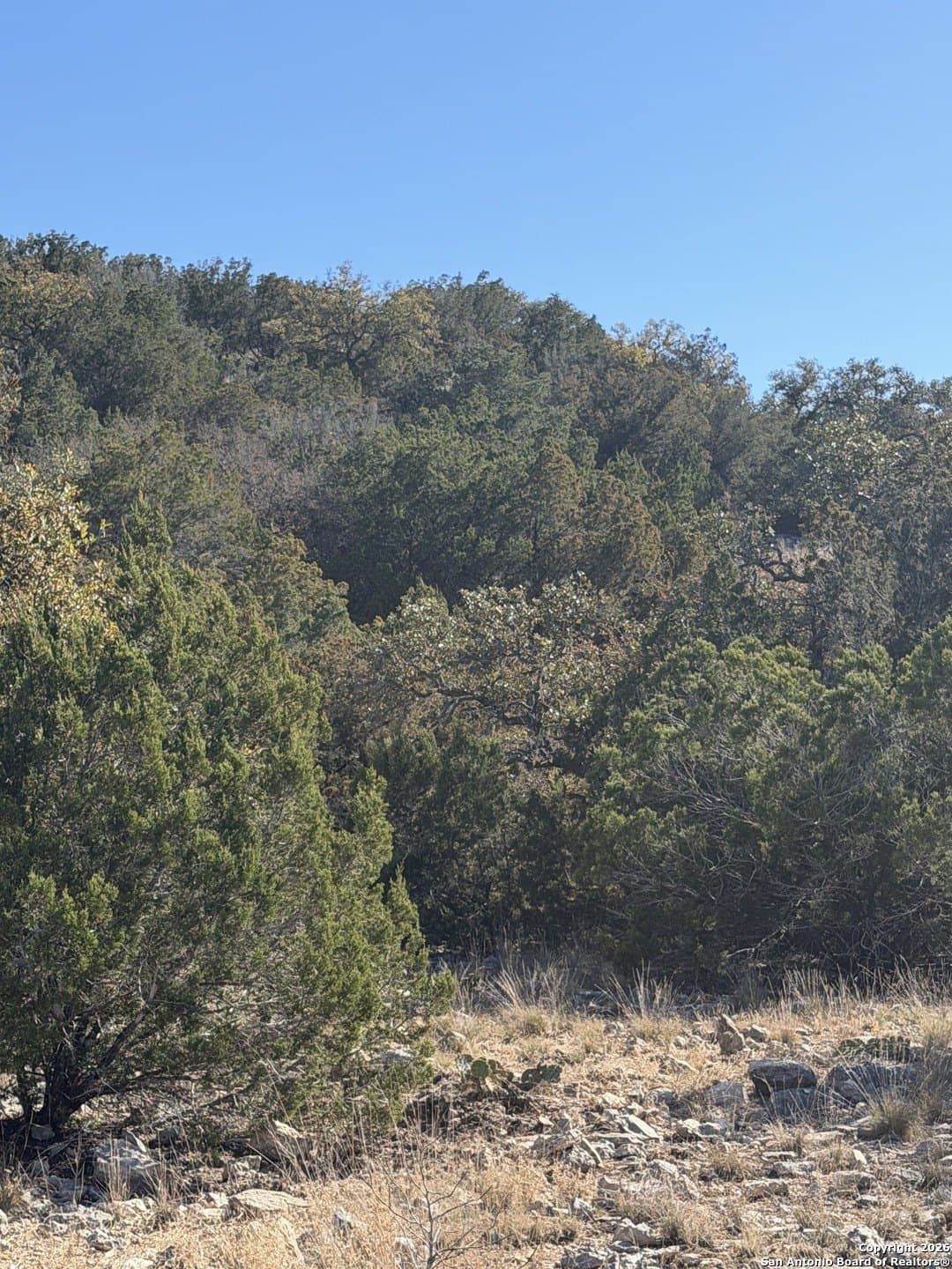 39 acres in Edwards County - photo 23
