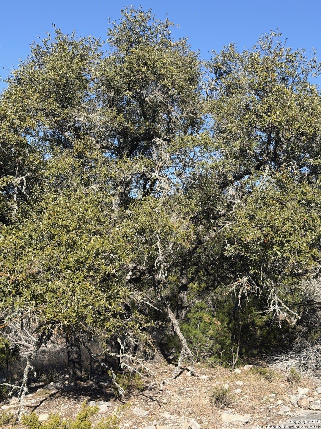 39 acres in Edwards County - photo 34