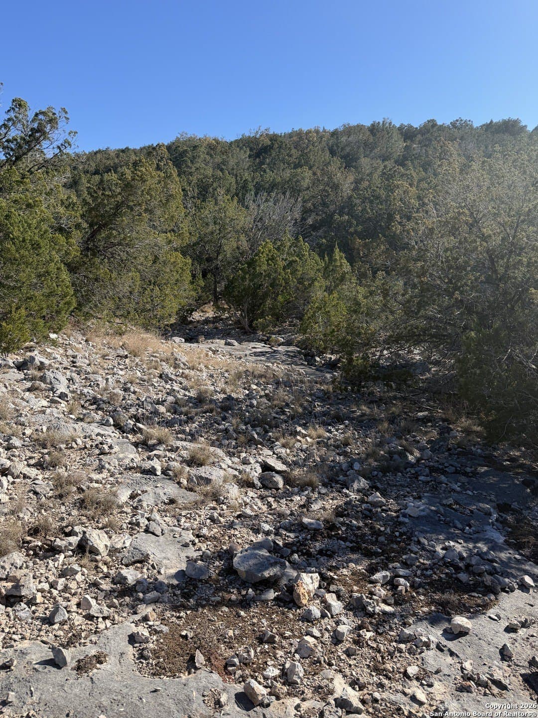 39 acres in Edwards County - photo 10