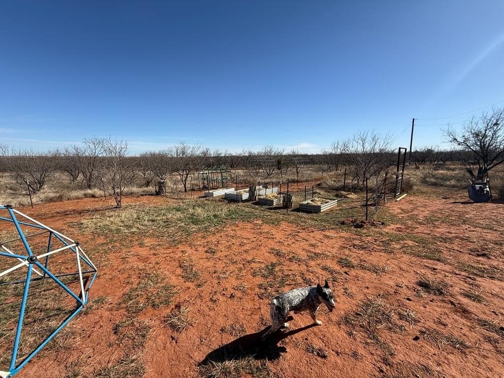 79.08 acres in Fisher County - photo 28
