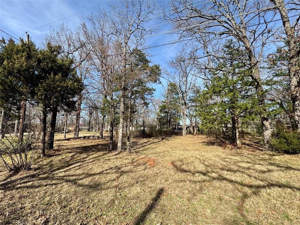 0.26 acres in Van Zandt County - photo 2