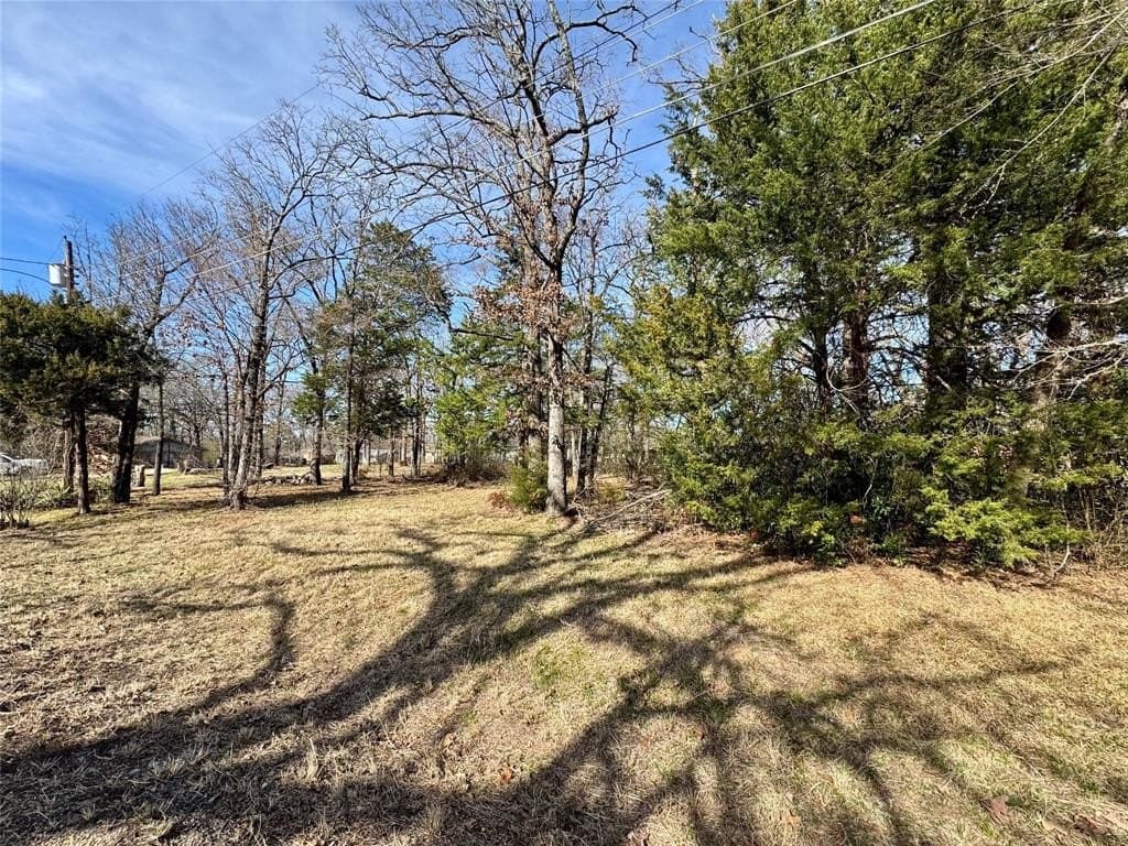 0.26 acres in Van Zandt County - photo 3