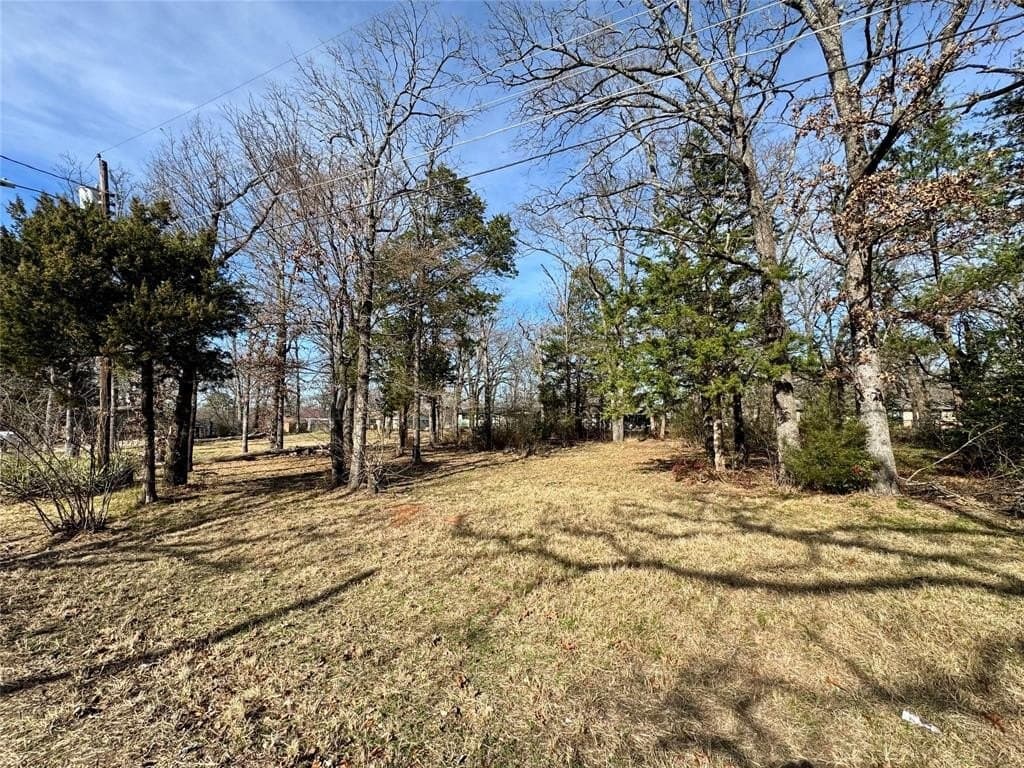 0.26 acres in Van Zandt County - photo 4