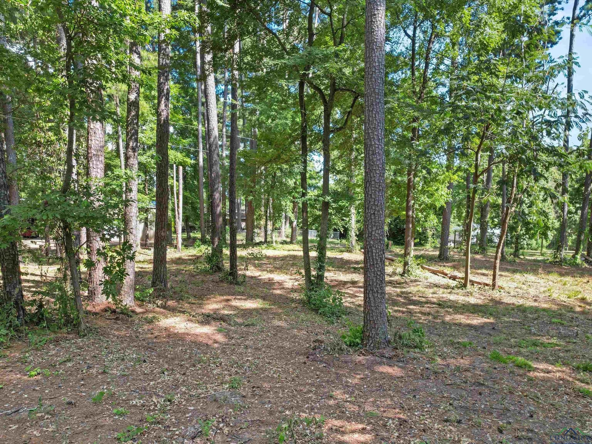 4.33 acres in Morris County - photo 11