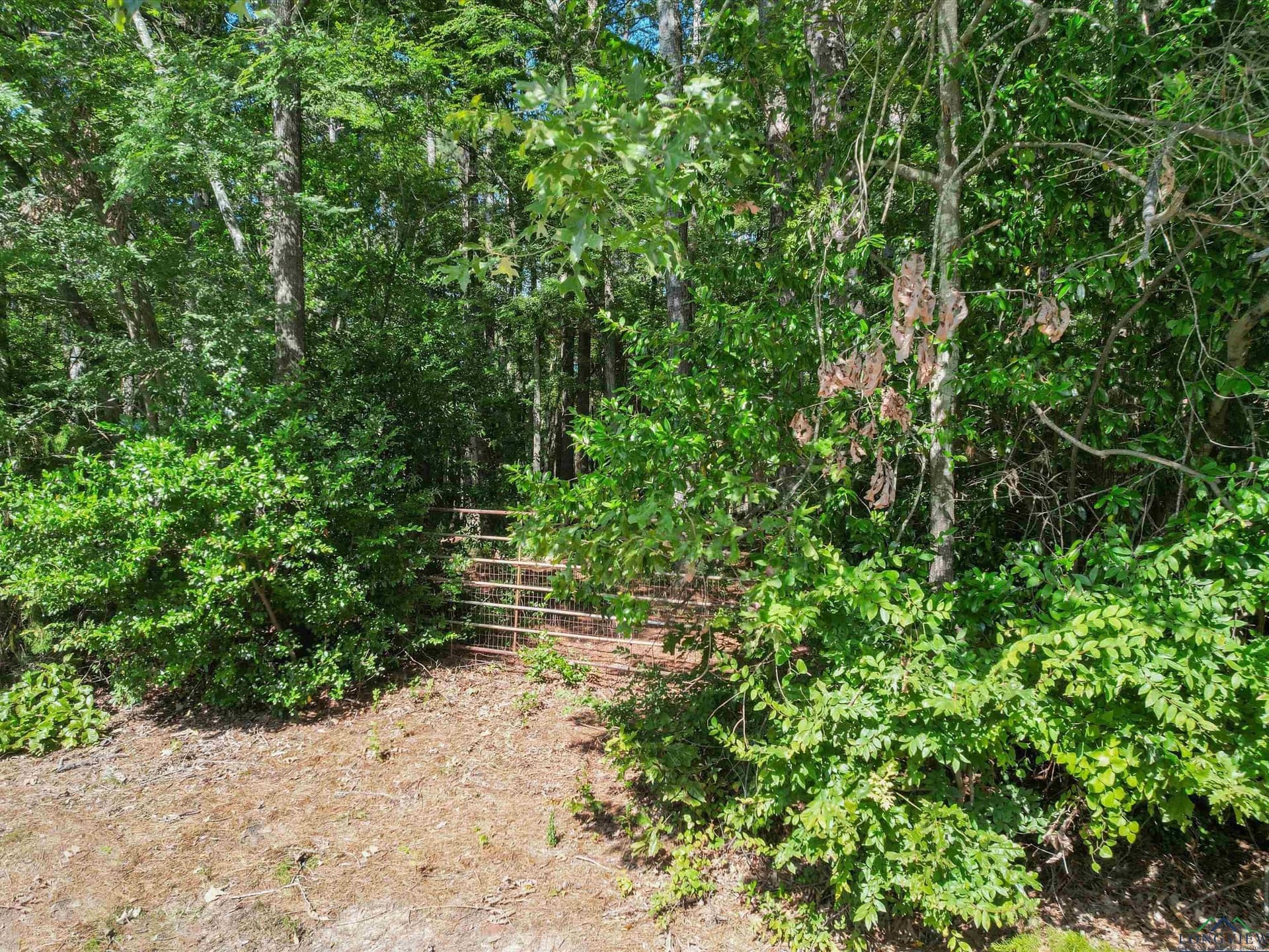 4.33 acres in Morris County - photo 4
