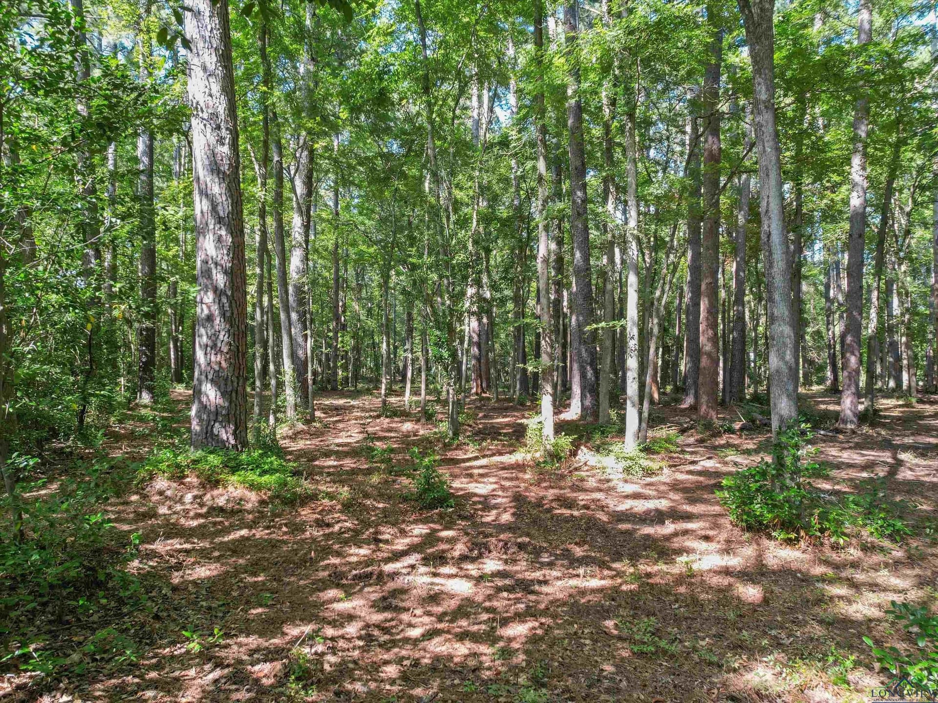 4.33 acres in Morris County - photo 3