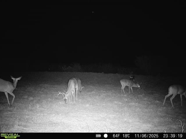 26.77 acres in Duval County - photo 14