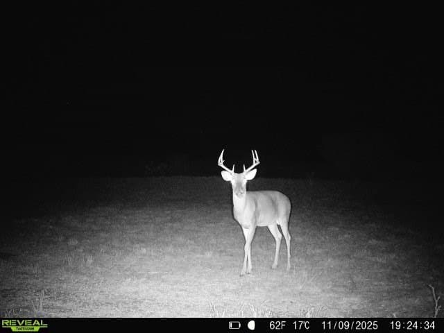 26.77 acres in Duval County - photo 6