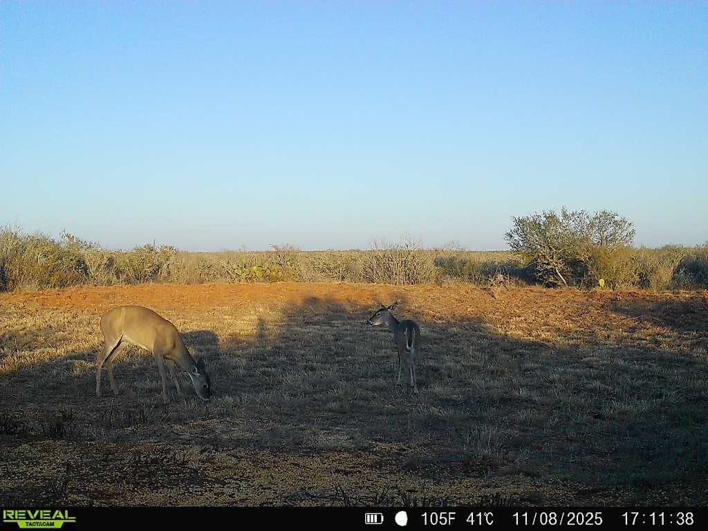 26.77 acres in Duval County - photo 30