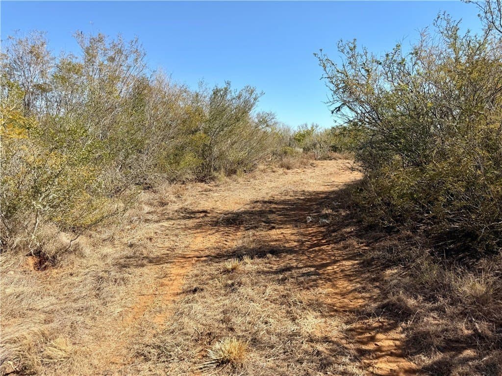 26.77 acres in Duval County - photo 23