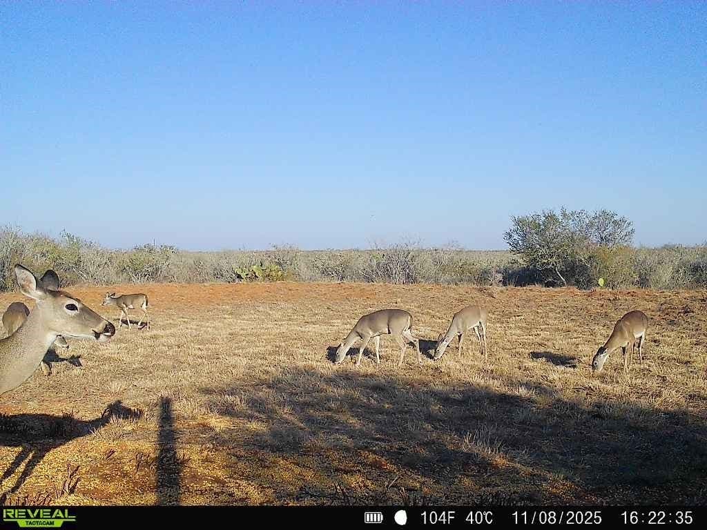 26.77 acres in Duval County - photo 34