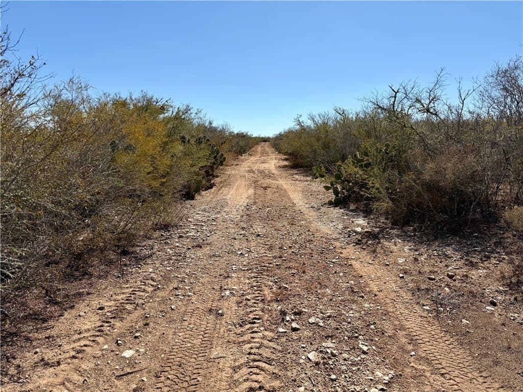 26.77 acres in Duval County - photo 37