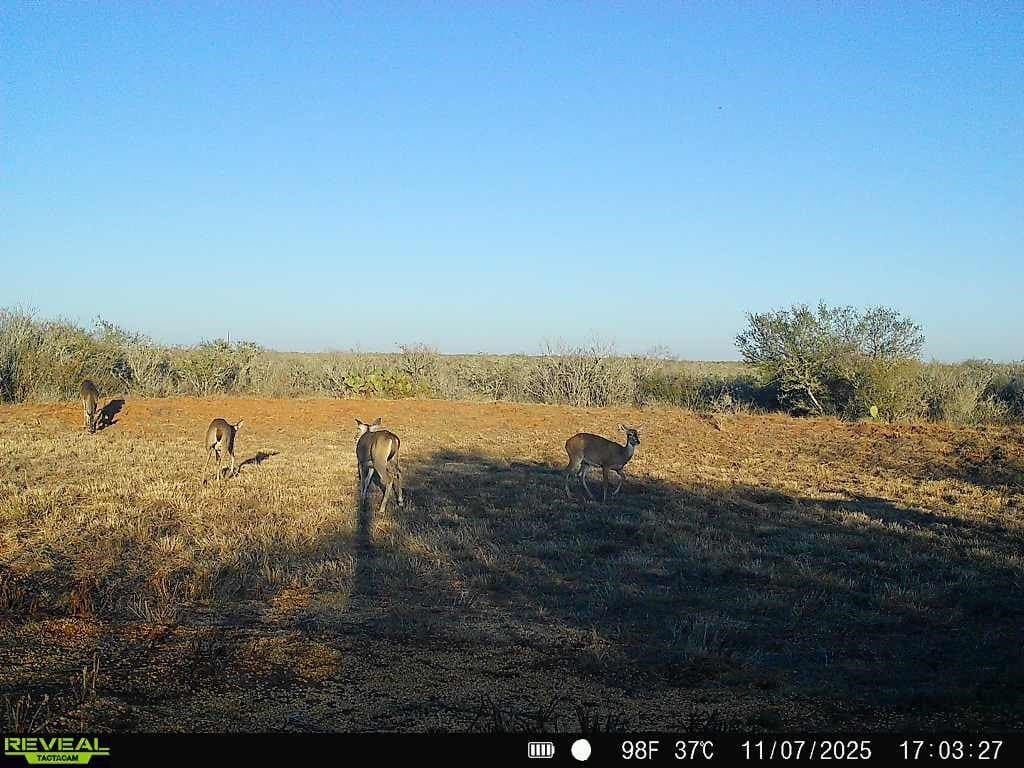 26.77 acres in Duval County - photo 32