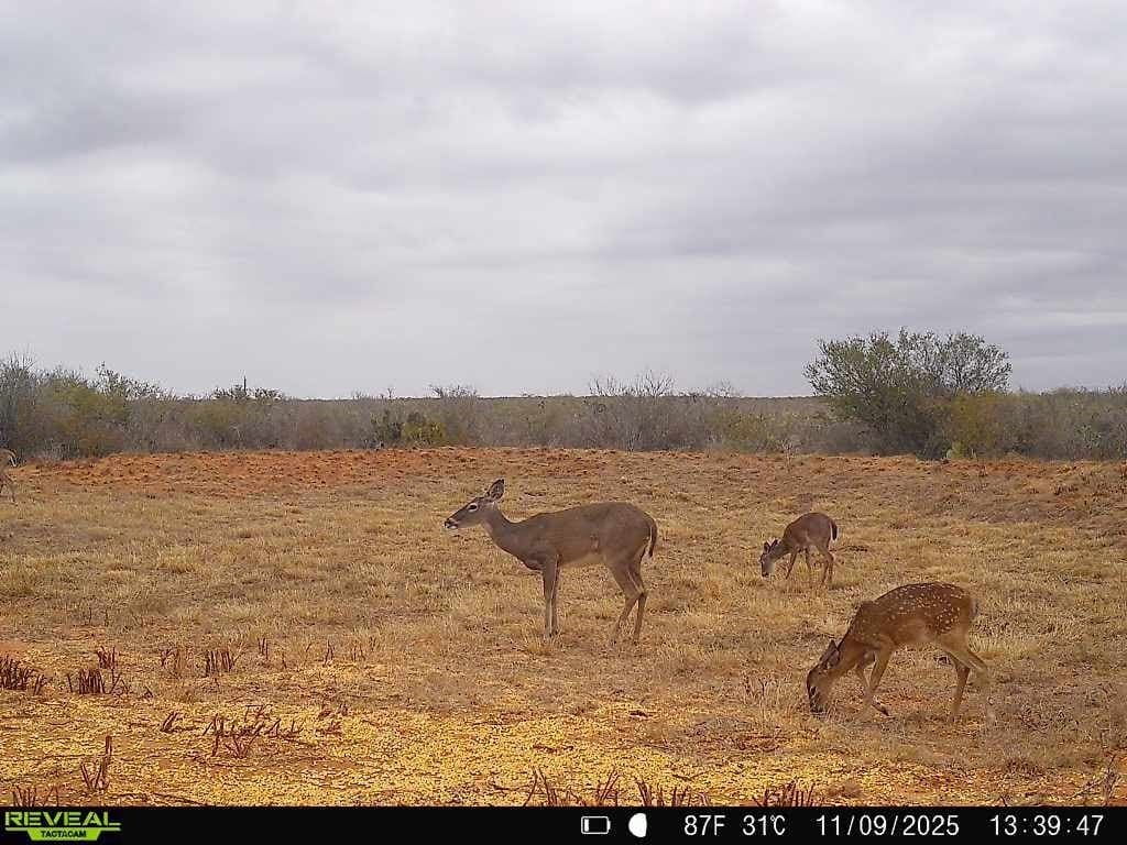 26.77 acres in Duval County - photo 36