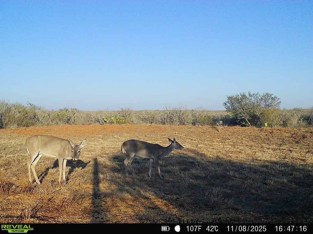 26.77 acres in Duval County - photo 8