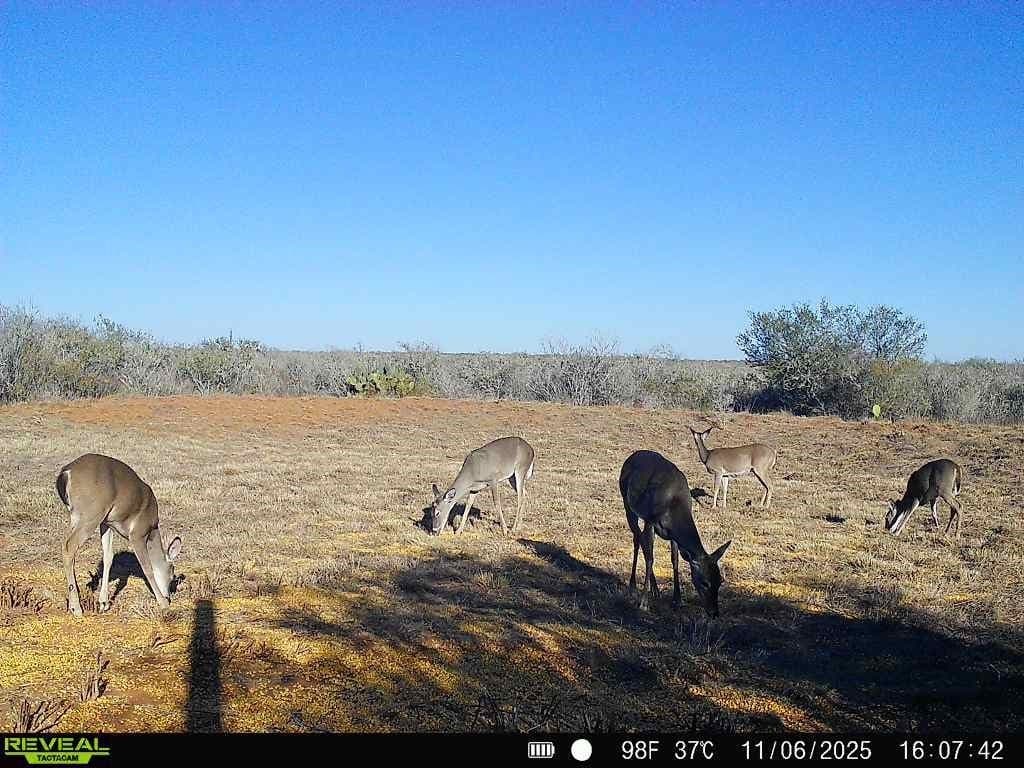 26.77 acres in Duval County - photo 18