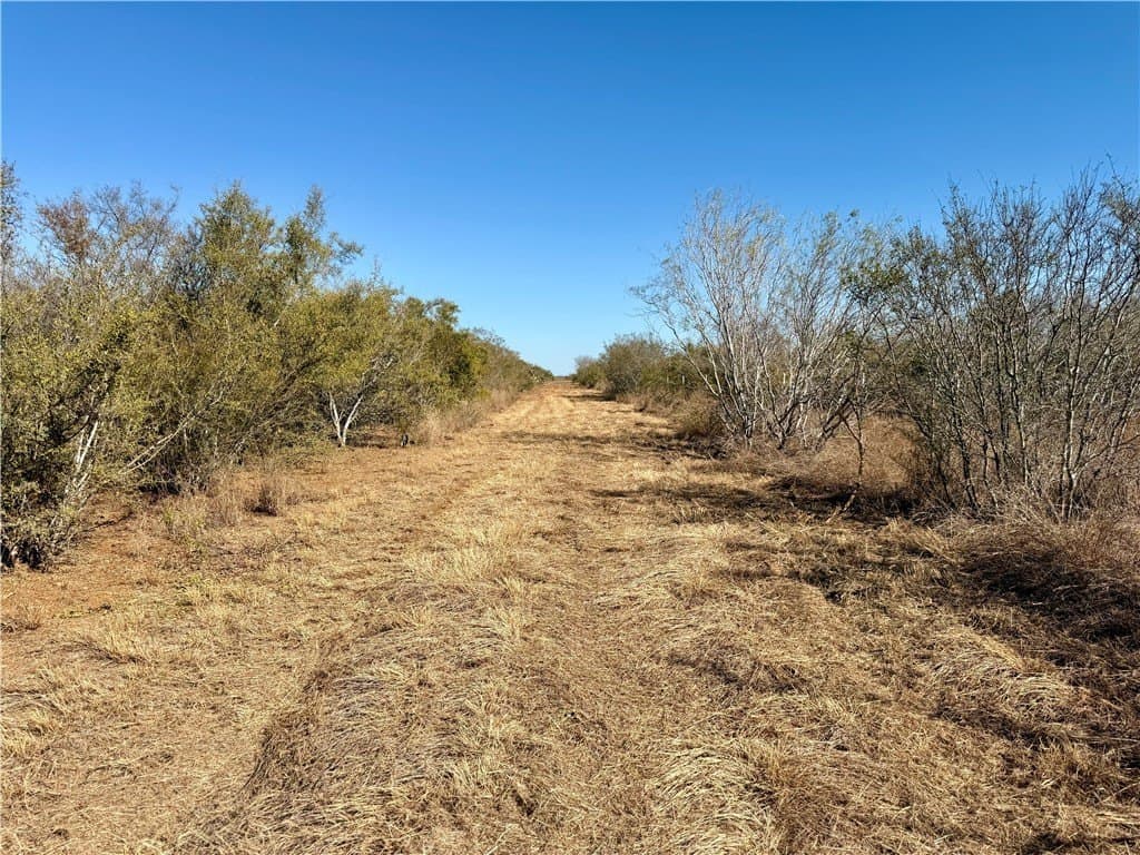 26.77 acres in Duval County - photo 9