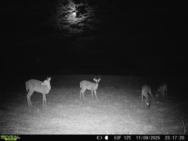 26.77 acres in Duval County - photo 10