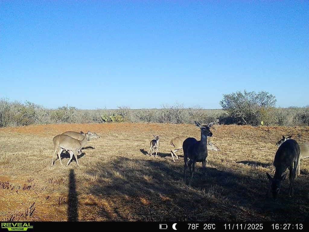 26.77 acres in Duval County - photo 20