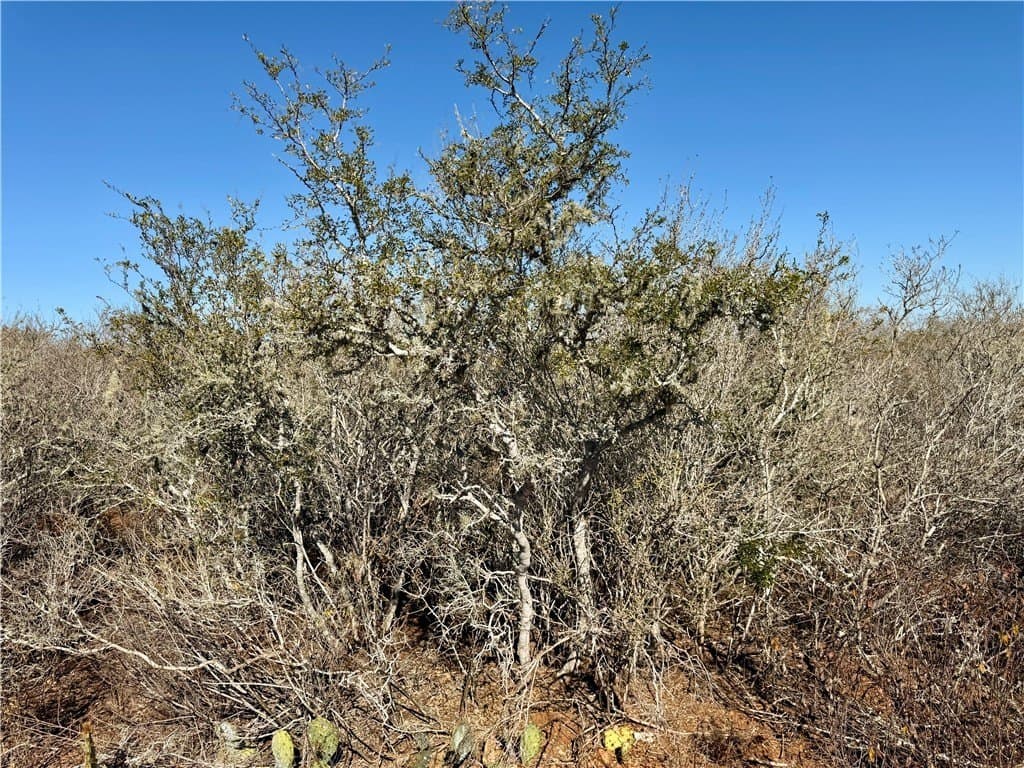 26.77 acres in Duval County - photo 25