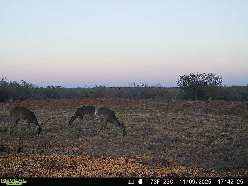26.77 acres in Duval County - photo 24