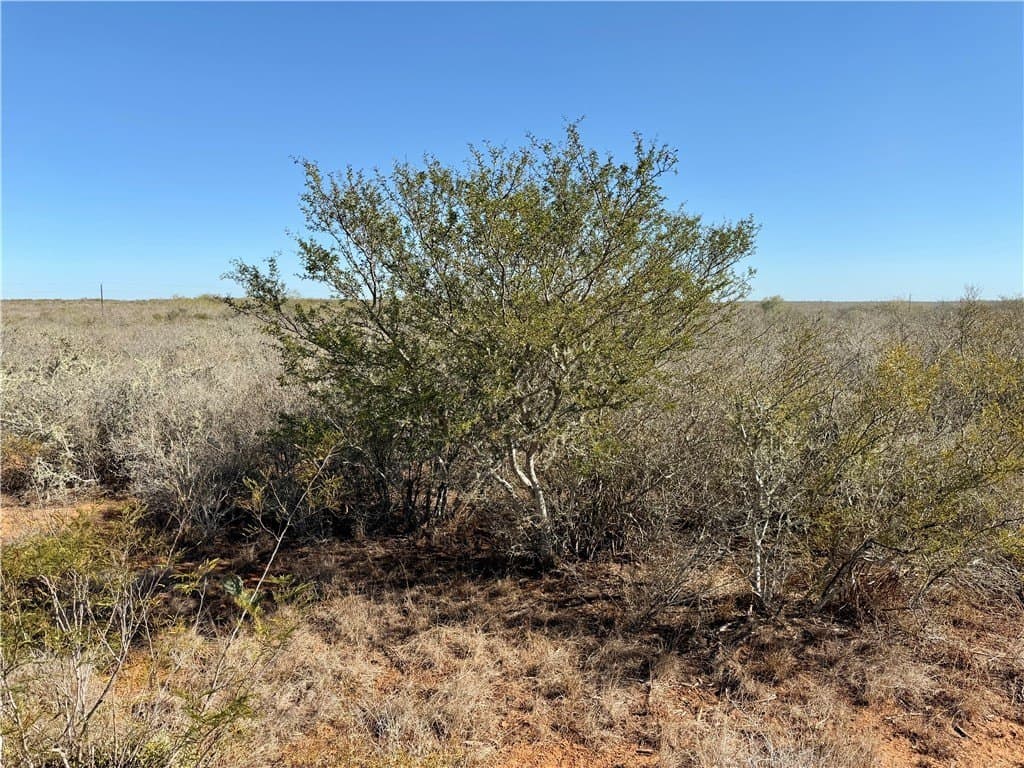 26.77 acres in Duval County - photo 7