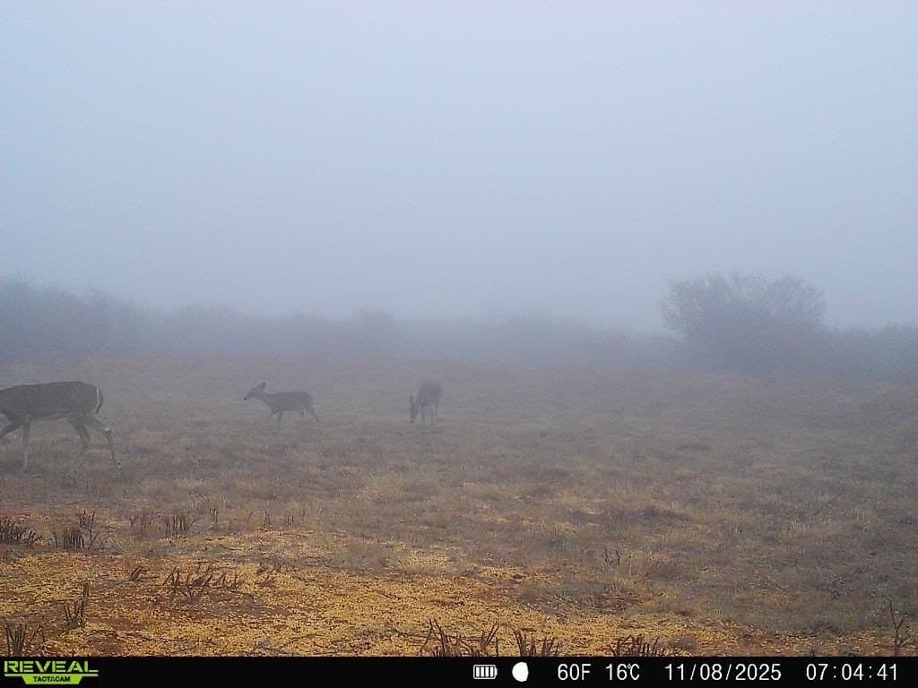 26.77 acres in Duval County - photo 26