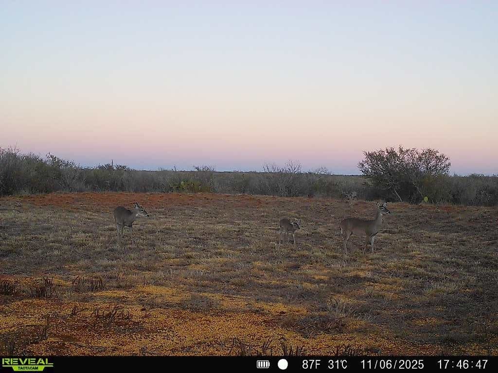 26.77 acres in Duval County - photo 40