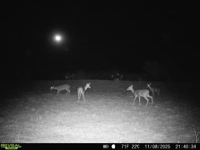 26.77 acres in Duval County - photo 2