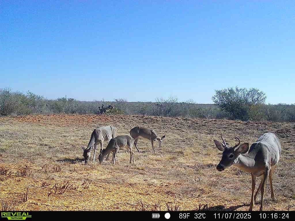 26.77 acres in Duval County - photo 38