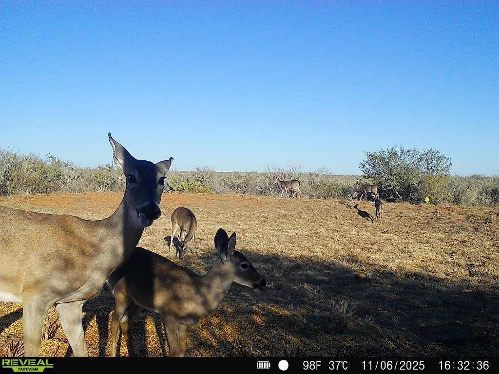 26.77 acres in Duval County - photo 28