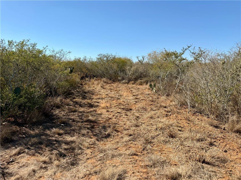 26.77 acres in Duval County - photo 33