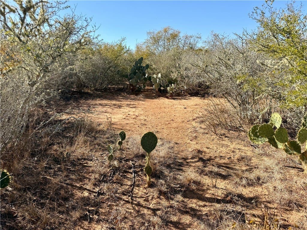 26.77 acres in Duval County - photo 15