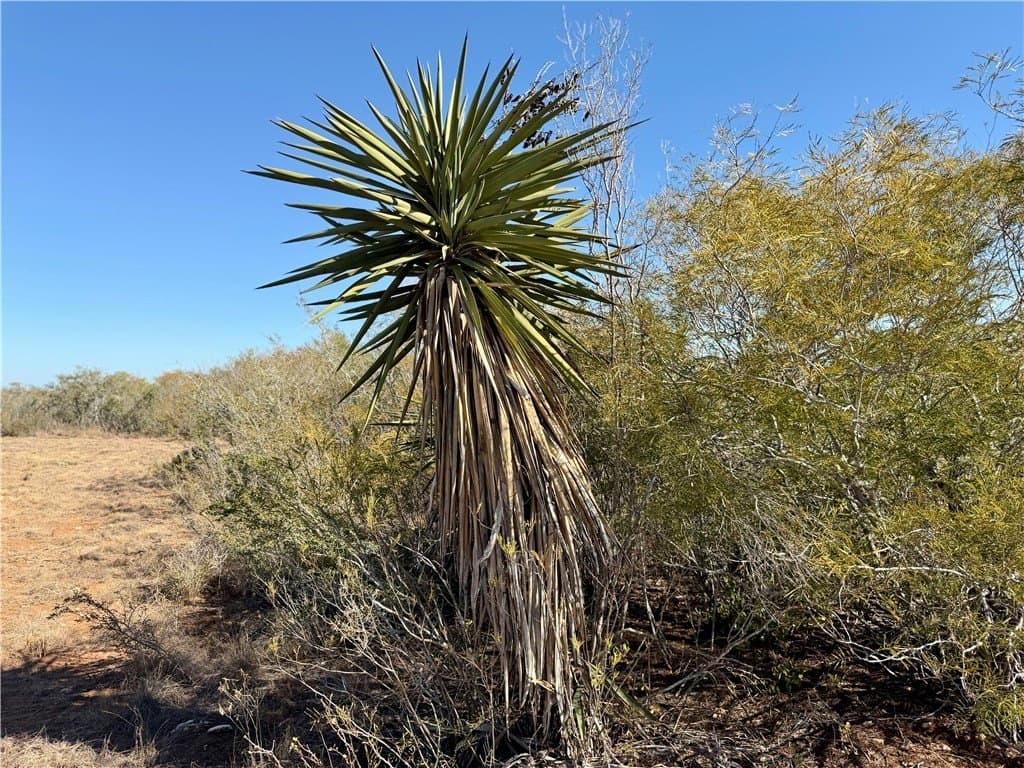 26.77 acres in Duval County - photo 29
