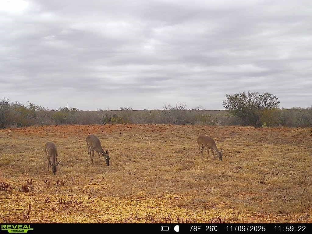 26.77 acres in Duval County - photo 4