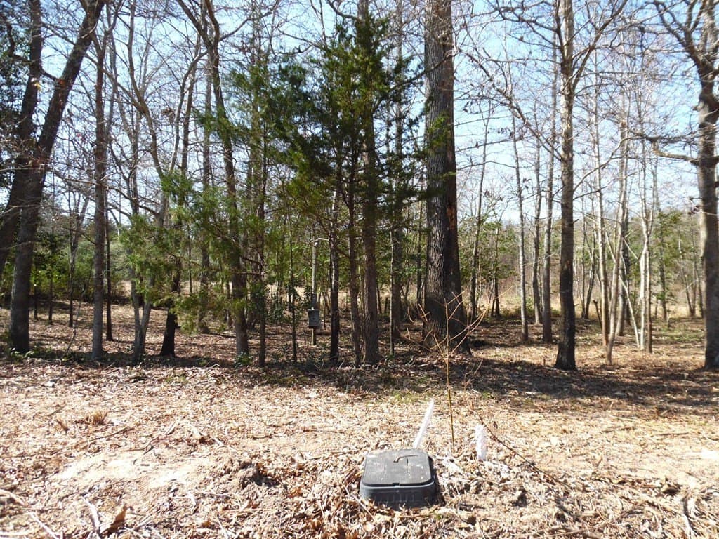 0.17 acres in Van Zandt County - photo 2