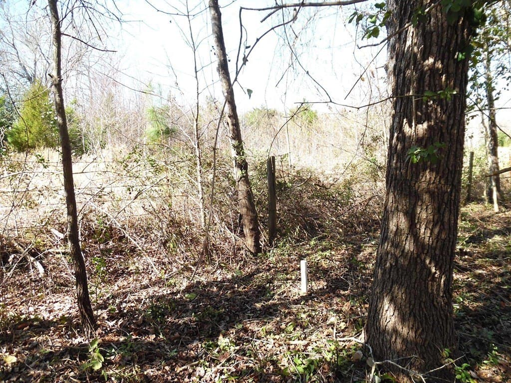0.17 acres in Van Zandt County - photo 4