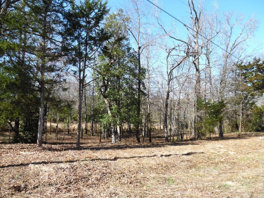0.17 acres in Van Zandt County - photo 3