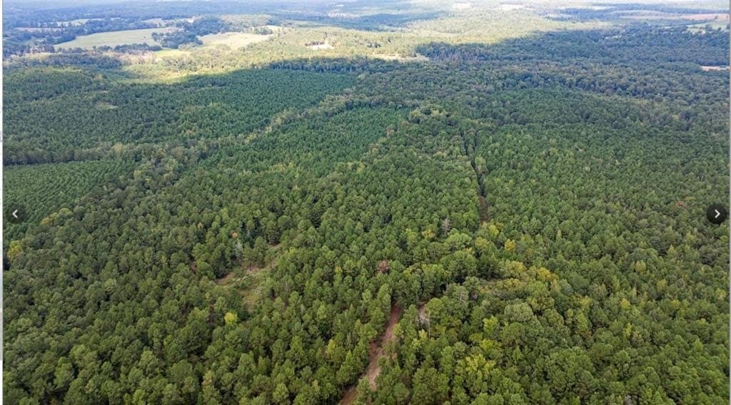 32.42 acres in Cass County - photo 3