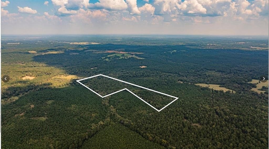 32.42 acres in Cass County - photo 2