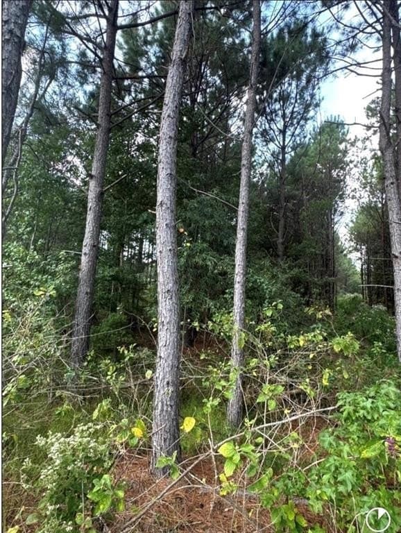 32.42 acres in Cass County - photo 4