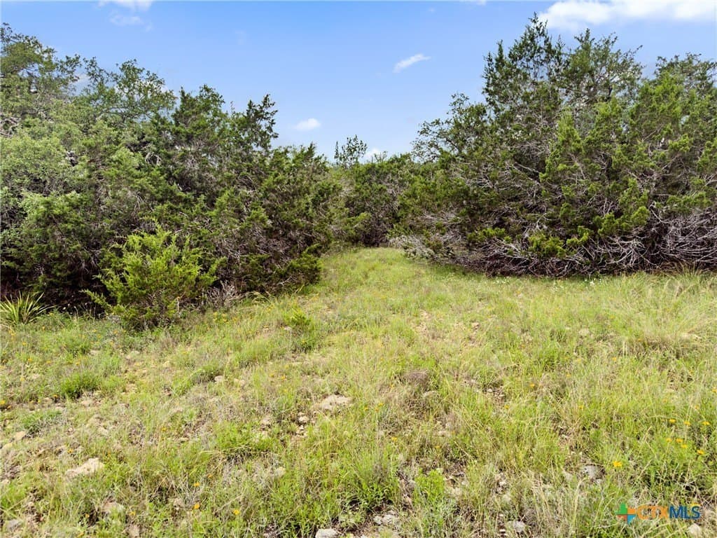 3 acres in Comal County - photo 13