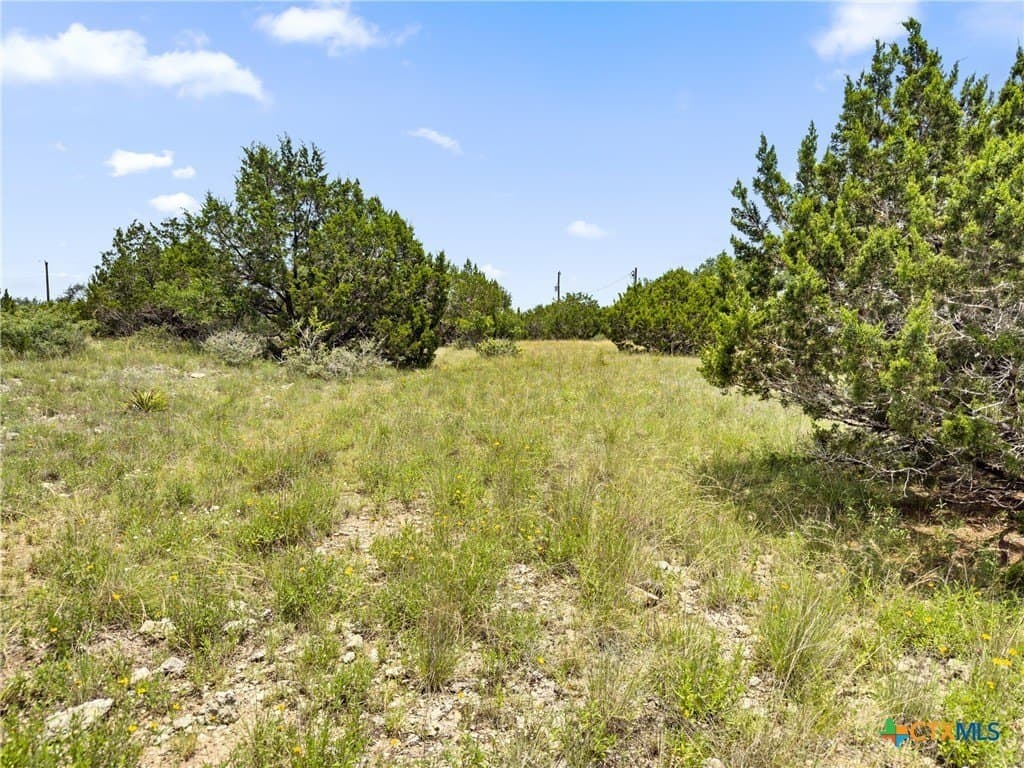 3 acres in Comal County - photo 14