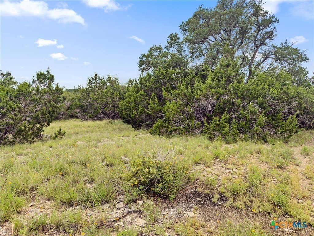 3 acres in Comal County - photo 10