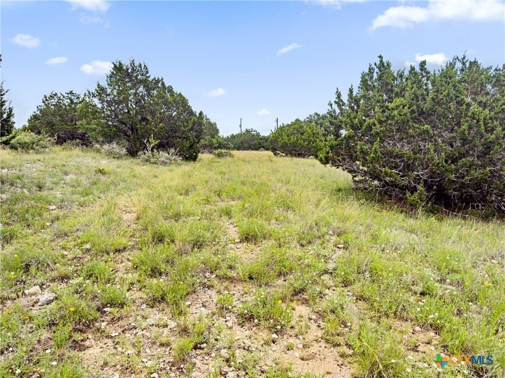 3 acres in Comal County - photo 12